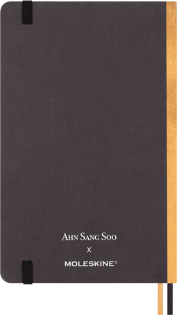 Year of the Dragon Notebook by Ahn Sang Soo Large Ruled Fabric Hard Cover Notebook in a Gift Box - Side view